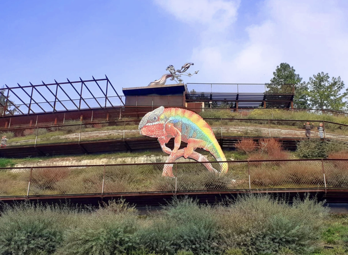 Il camaleonte dell'artista KATJA NOVITSKOVA Il camaleonte dell'artista KATJA NOVITSKOVA