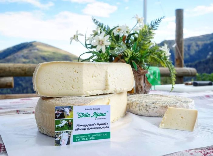 Lo  sai  come si fa un tomino? A Pian Munè di Paesana te lo spiegano con un laboratorio