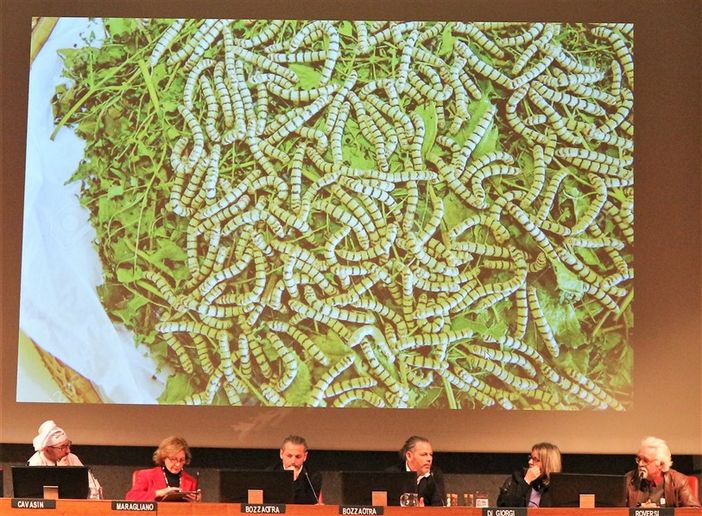 Prepariamoci a mangiare grilli e cavallette