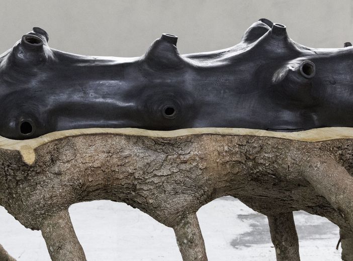 Fondazione CRC e Castello di Rivoli presentano le opere di Giuseppe Penone a Cuneo