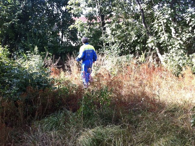 Immagine di repertorio