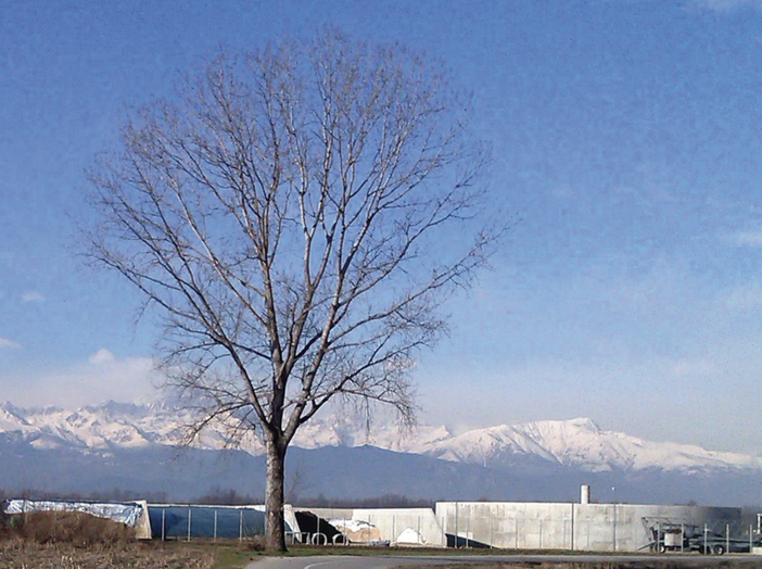 Tutela dell’ambiente e del paesaggio in provincia di Cuneo: se ne parlerà in un incontro a Savigliano Tutela dell’ambiente e del paesaggio in provincia di Cuneo: se ne parlerà in un incontro a Savigliano