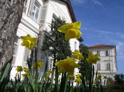 Immagine della Residenza Tapparelli