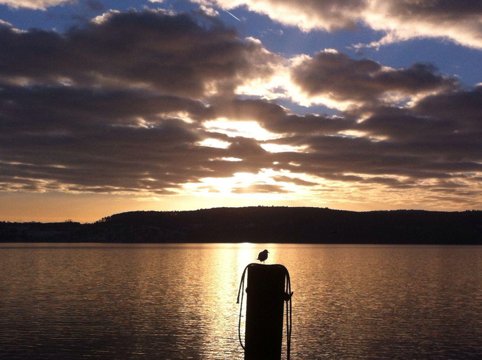 Il suono del silenzio
