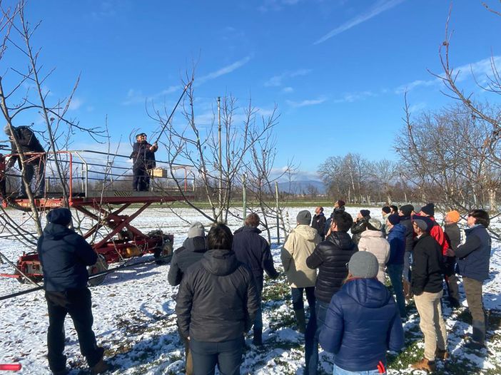 Noce, Coldiretti Cuneo: +200% in 3 anni con formazione e consulenza in campo