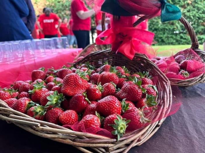 Peveragno, un successo la Fragolata 2023: i ringraziamenti del sindaco