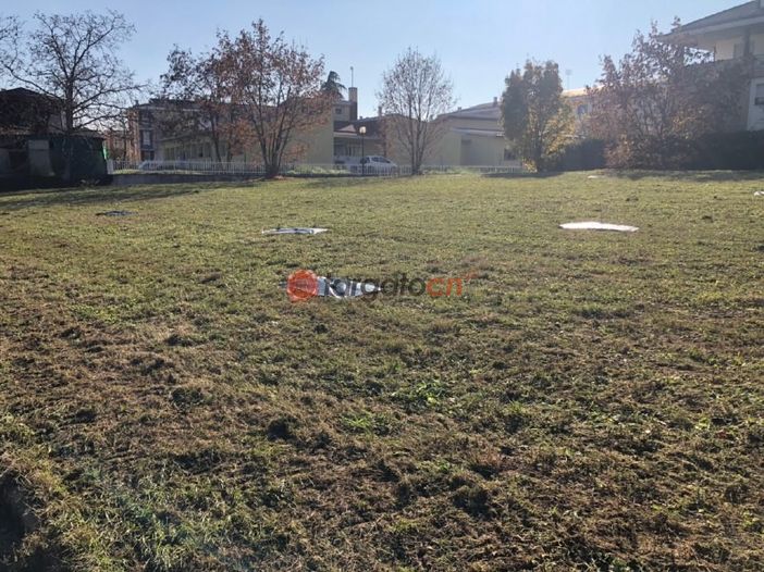 Il Bosco della Pace in un'immagine di repertorio con le primissime piante messe a dimora alcuni anni fa