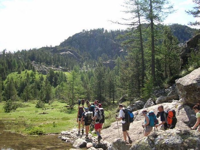 Immagine di repertorio