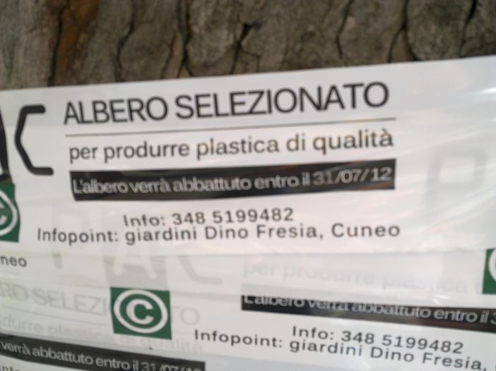 Aliment(e)azione per Zooart ha centrato l'obiettivo: coscienza civica dei cuneesi testata!