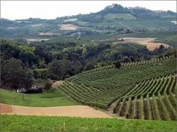 Importante delibera approvata dal Consiglio comunale di Dogliani: le colline intorno al paese saranno tutelate Importante delibera approvata dal Consiglio comunale di Dogliani: le colline intorno al paese saranno tutelate
