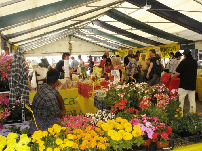 L'edizione di quest'anno di Mestieri in città