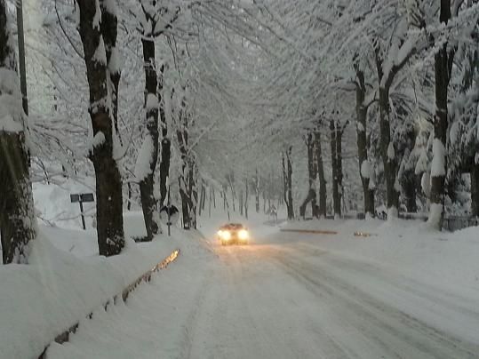 La strada in discesa da Limone Piemonte (foto Sofia)