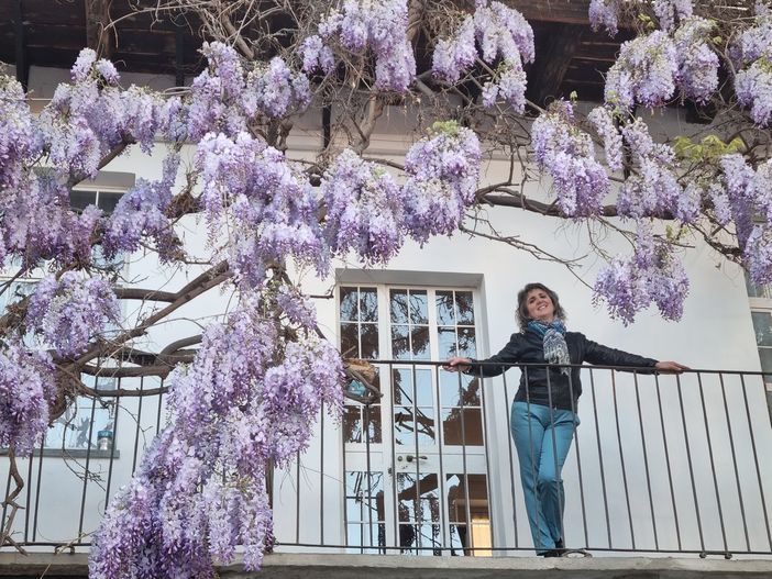 Bra, alla scoperta degli angoli di glicine più suggestivi da fotografare Bra, alla scoperta degli angoli di glicine più suggestivi da fotografare