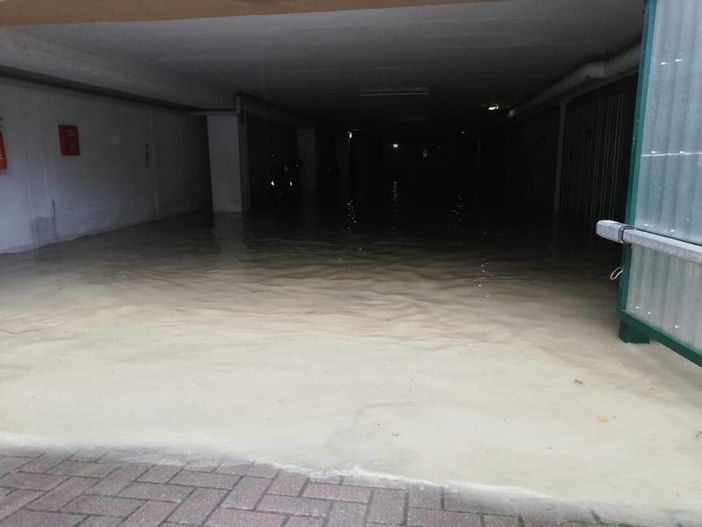 Danni da avversità atmosferiche:  nuova piattaforma per la segnalazione dei danni