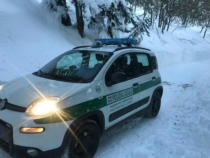 Bracconieri sorpresi a sparare ai camosci in alta valle Varaita, nel Parco del Monviso Bracconieri sorpresi a sparare ai camosci in alta valle Varaita, nel Parco del Monviso