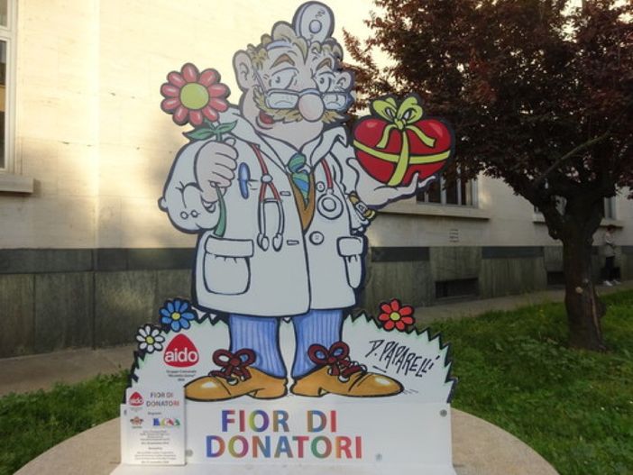 L'Aido della Granda prima in Italia per nuovi donatori: nel 2022 hanno sfiorato le 600 unità