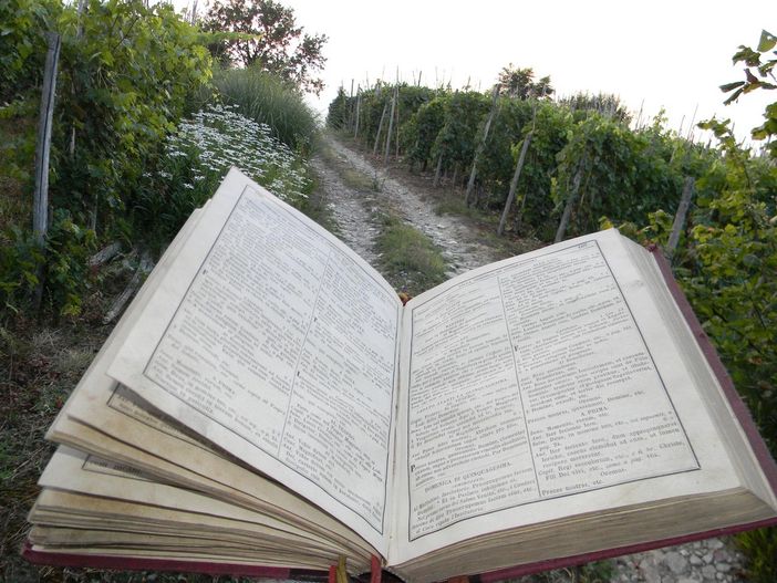 “Pesca un libro” a Canale: un evento, nuovi spazi e prospettive di collettività