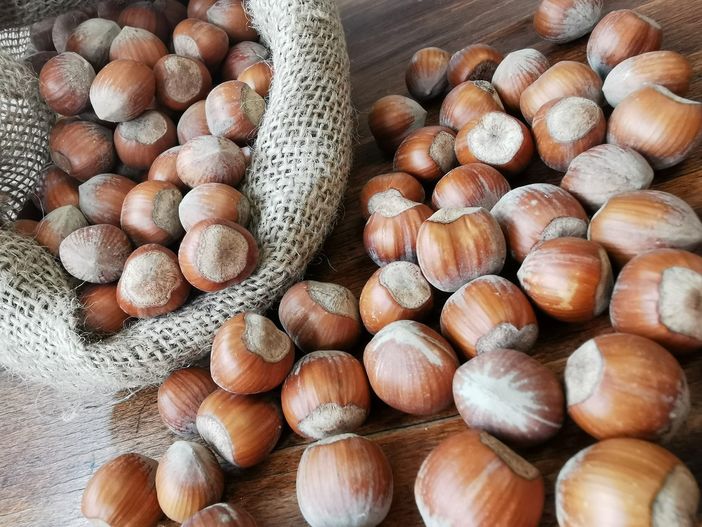 Nocciola tonda Gentile di Langa: si spera di sapere presto il prezzo definitivo