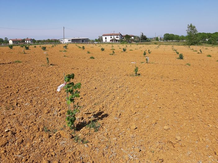 Fondazione Agrion, Bergesio, Lega: “Con il contributo Masaf nuovo slancio ai progetti di Agrion”.