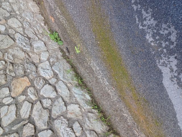 Un dettaglio della perdita d'acqua Un dettaglio della perdita d'acqua