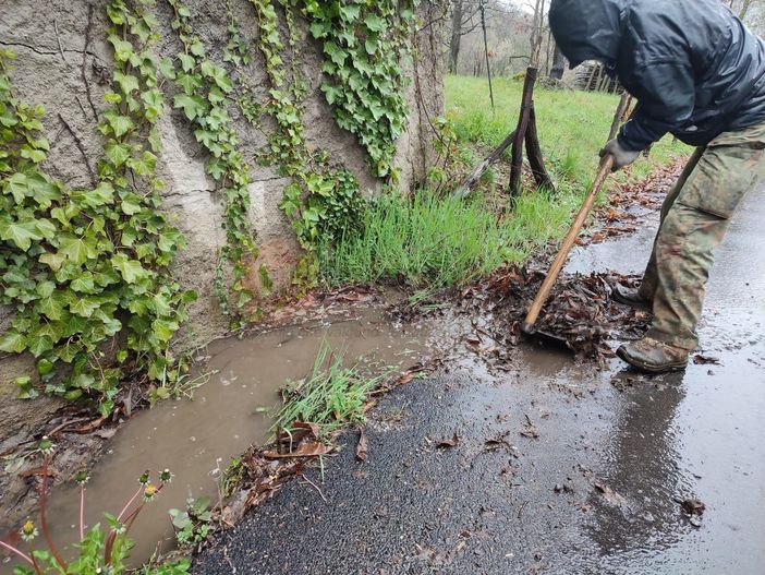 Gaiola, canali intasati dalle foglie, il sindaco: "Vengano a spalare quelli che ci vietano di pulire i boschi" Gaiola, canali intasati dalle foglie, il sindaco: "Vengano a spalare quelli che ci vietano di pulire i boschi"