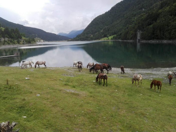 Pesca dilettantistica Pontechianale, i pescatori scrivono a Comune, Provincia e Regione: "Gravi criticità stanno pregiudicando l’attività per la stagione 2025" Pesca dilettantistica Pontechianale, i pescatori scrivono a Comune, Provincia e Regione: "Gravi criticità stanno pregiudicando l’attività per la stagione 2025"