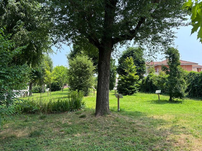 Un Bosco per la città: festa popolare a Cherasco