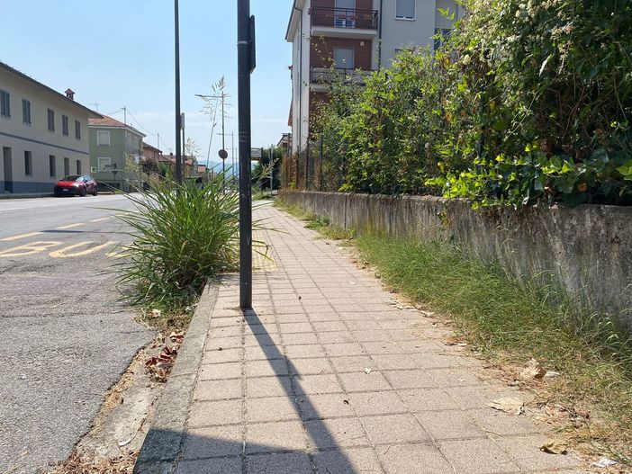 I marciapiedi di Alba, invasi dall'erba alta I marciapiedi di Alba, invasi dall'erba alta