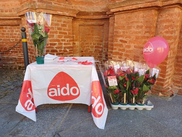 Giornata del Sì ad AIDO 2025: un impegno per la vita