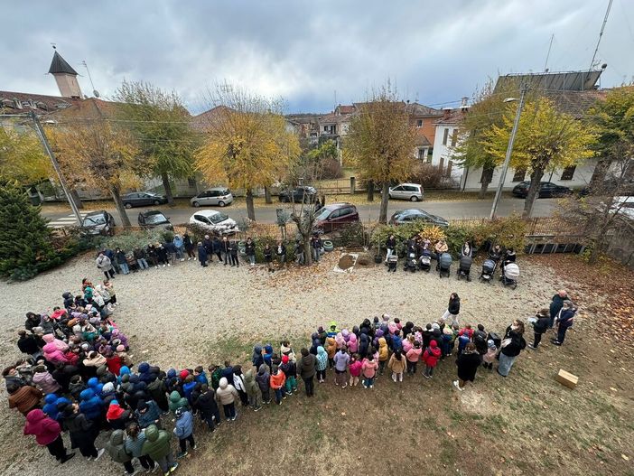 A Bene Vagienna l’albero “è in festa”: una giornata tra musica, nuovi nati e un gelso per il futuro