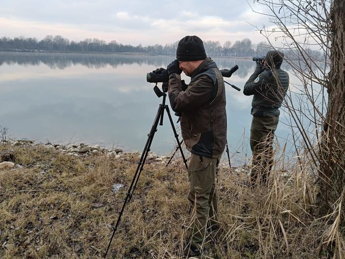 Ci sono 15 specie diverse di uccelli acquatici nel Parco del Monviso