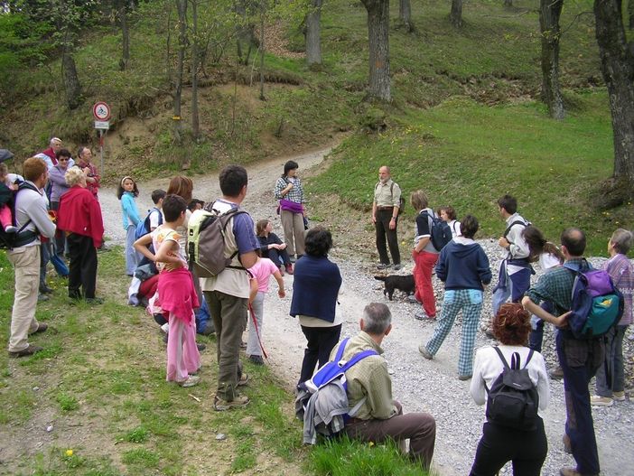 Robilante, l'associazione Limodoro festeggia vent'anni di attività