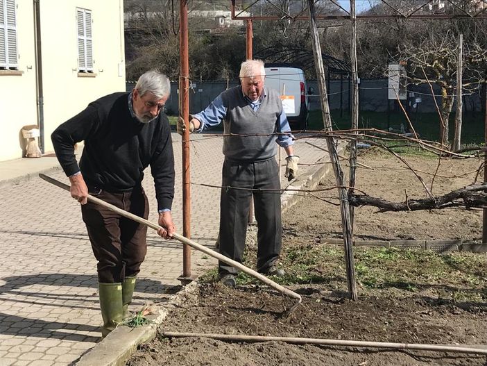 +Api, anche quest'anno Gruppo micologico e Comune di Ceva in campo per la biodiversità