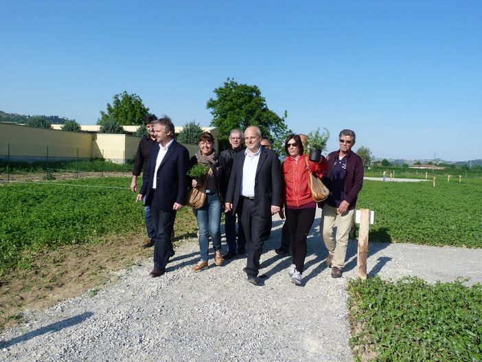 Alba: al via il nuovo bando comunale di concessione per gli orti urbani di frazione Mussotto