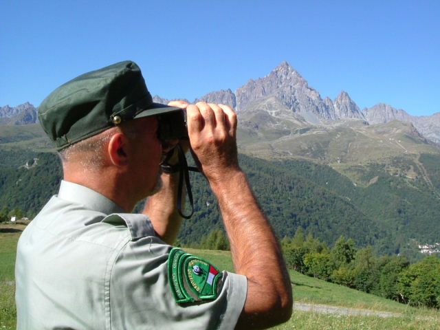 I numeri dell’attività svolta nel 2014 dal Nucleo Operativo Provinciale di Vigilanza WWF