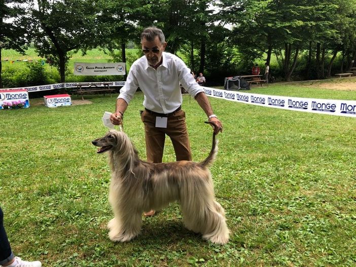 Uno scatto della prima edizione Uno scatto della prima edizione