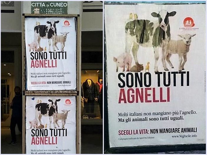 "Sono tutti agnelli": attiva la campagna di Pasqua della Lida Carrù Mondovì Ceva "Sono tutti agnelli": attiva la campagna di Pasqua della Lida Carrù Mondovì Ceva
