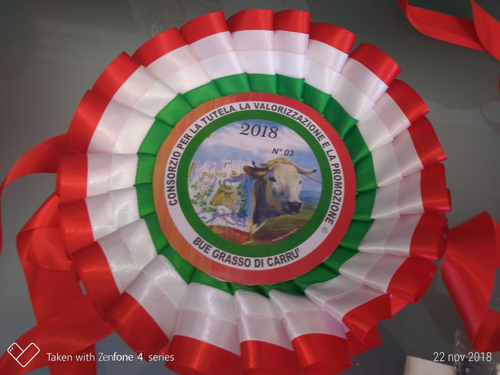 Carrù: grande attesa per l'edizione "speciale" della Fiera Nazionale del Bue Grasso