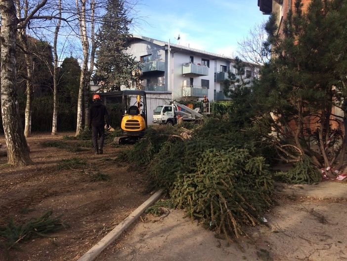 Tromba d'aria: proseguono nel cuneese le attività di messa in sicurezza (GUARDA LA GALLERY) Tromba d'aria: proseguono nel cuneese le attività di messa in sicurezza (GUARDA LA GALLERY)