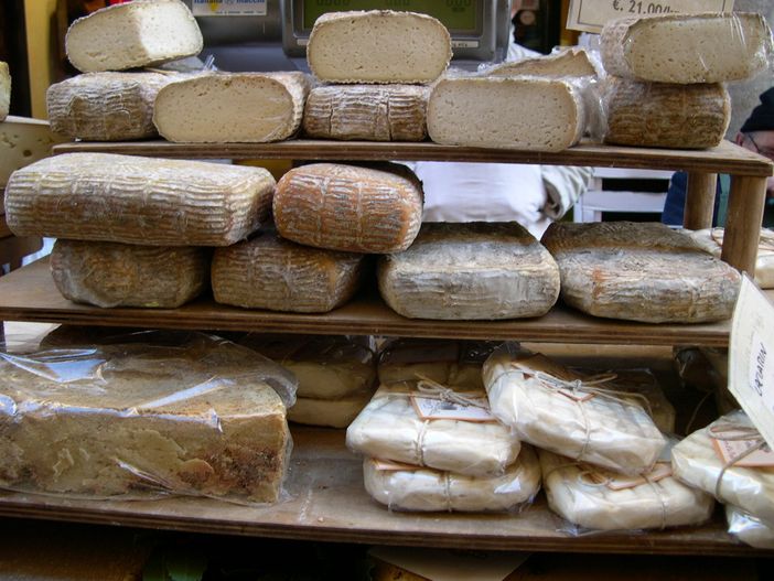 Arriva a Cuneo "Io vivo sano", la mostra della Fondazione Umberto Veronesi