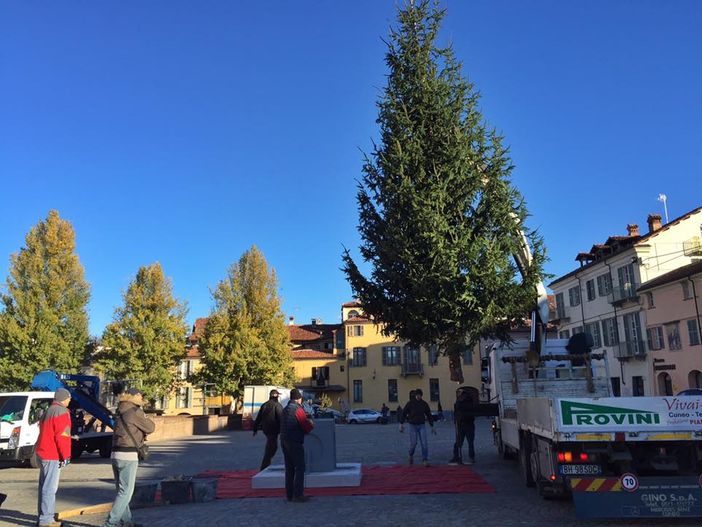 Albero di Natale di oltre 9 metri di altezza, dono della Pro Loco alla città di Fossano