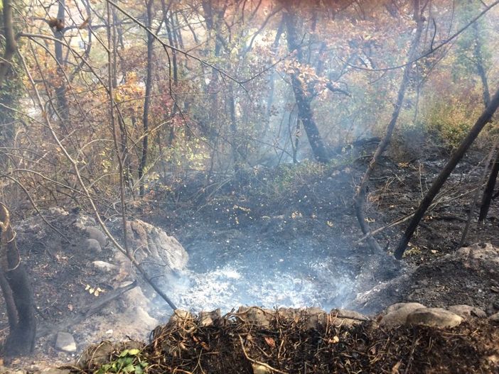 Incendio al parco Grandis di Borgo San Dalmazzo, impegnati due elicotteri (FOTO) Incendio al parco Grandis di Borgo San Dalmazzo, impegnati due elicotteri (FOTO)