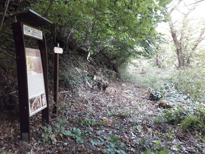 Riaperto il sentiero della Fossa dei Cinghiali a Monteu Roero, nel cuore delle Rocche Riaperto il sentiero della Fossa dei Cinghiali a Monteu Roero, nel cuore delle Rocche