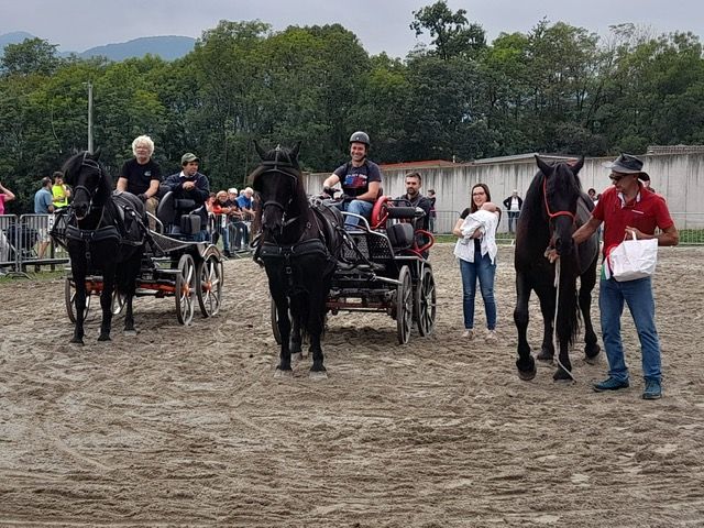 Grandi emozioni dalla 39^ Mostra Nazionale del Cavallo Mérens a Roccabruna