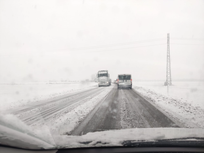 Strade nel caos, Robaldo: "Capiremo con le ditte appaltatrici per la pulizia delle strade cosa non ha funzionato"