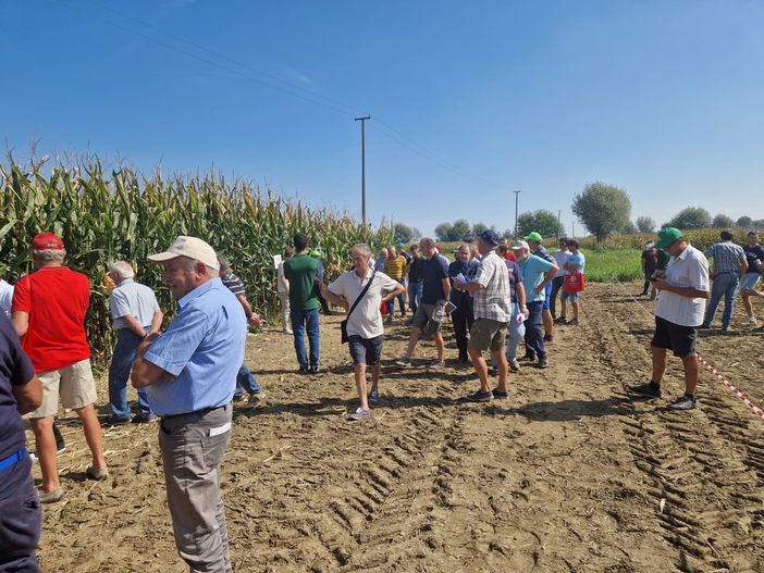 Risultati e nuovi scenari del settore maidicolo al Pignatelli Day [VIDEO]