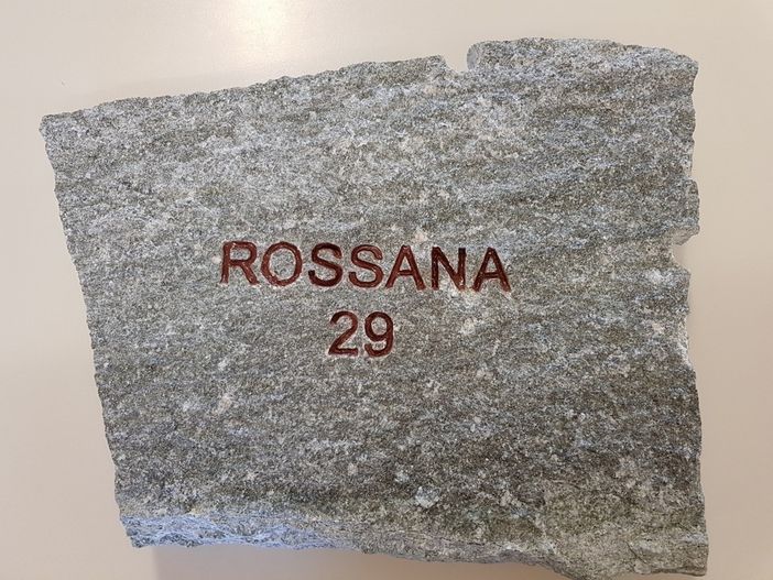 Rossana partecipa al Centenario della fine della Grande Guerra