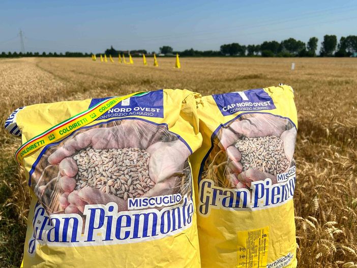 Festa del pane: a Savigliano Coldiretti racconta la bontà delle farine 100% made in Cuneo con “Grano Piemonte”