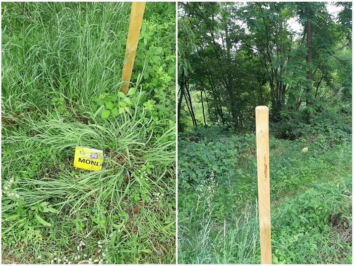 Atto vandalico sul sentiero Landandé: paline spostate e cartelli spezzati