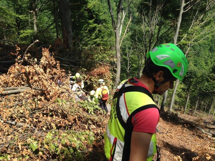 Immagine di repertorio Immagine di repertorio